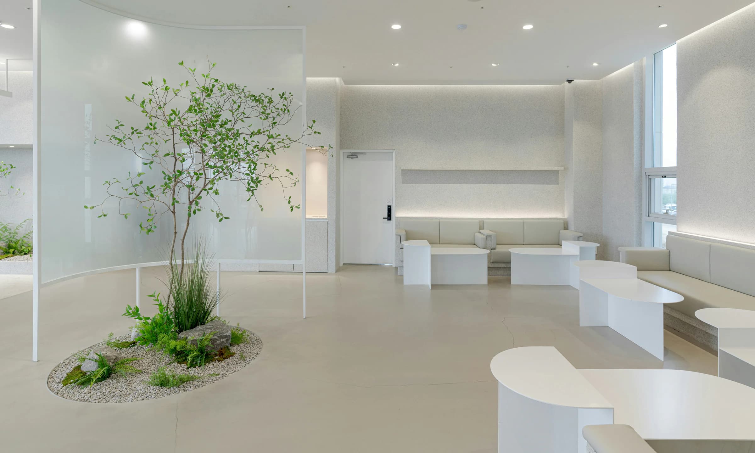 A calm, modern healthcare reception and waiting area